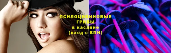 крисы Армянск