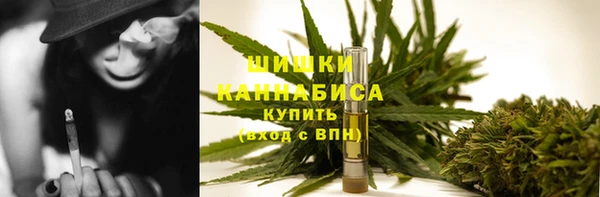 ГАЛЛЮЦИНОГЕННЫЕ ГРИБЫ Аркадак