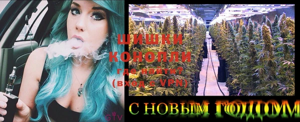 ГАЛЛЮЦИНОГЕННЫЕ ГРИБЫ Аркадак