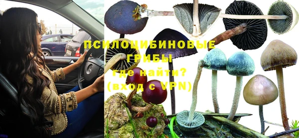 дживик Арсеньев