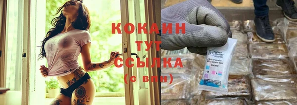 дживик Арсеньев
