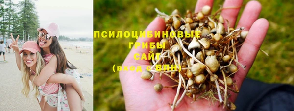дживик Арсеньев
