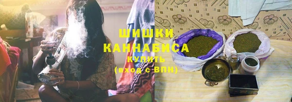 ГАЛЛЮЦИНОГЕННЫЕ ГРИБЫ Аркадак