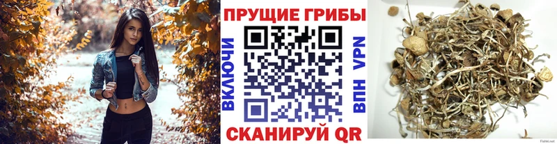 Галлюциногенные грибы ЛСД Инта